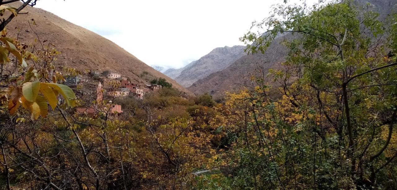 Riad Vallee Verte Asni Εξωτερικό φωτογραφία